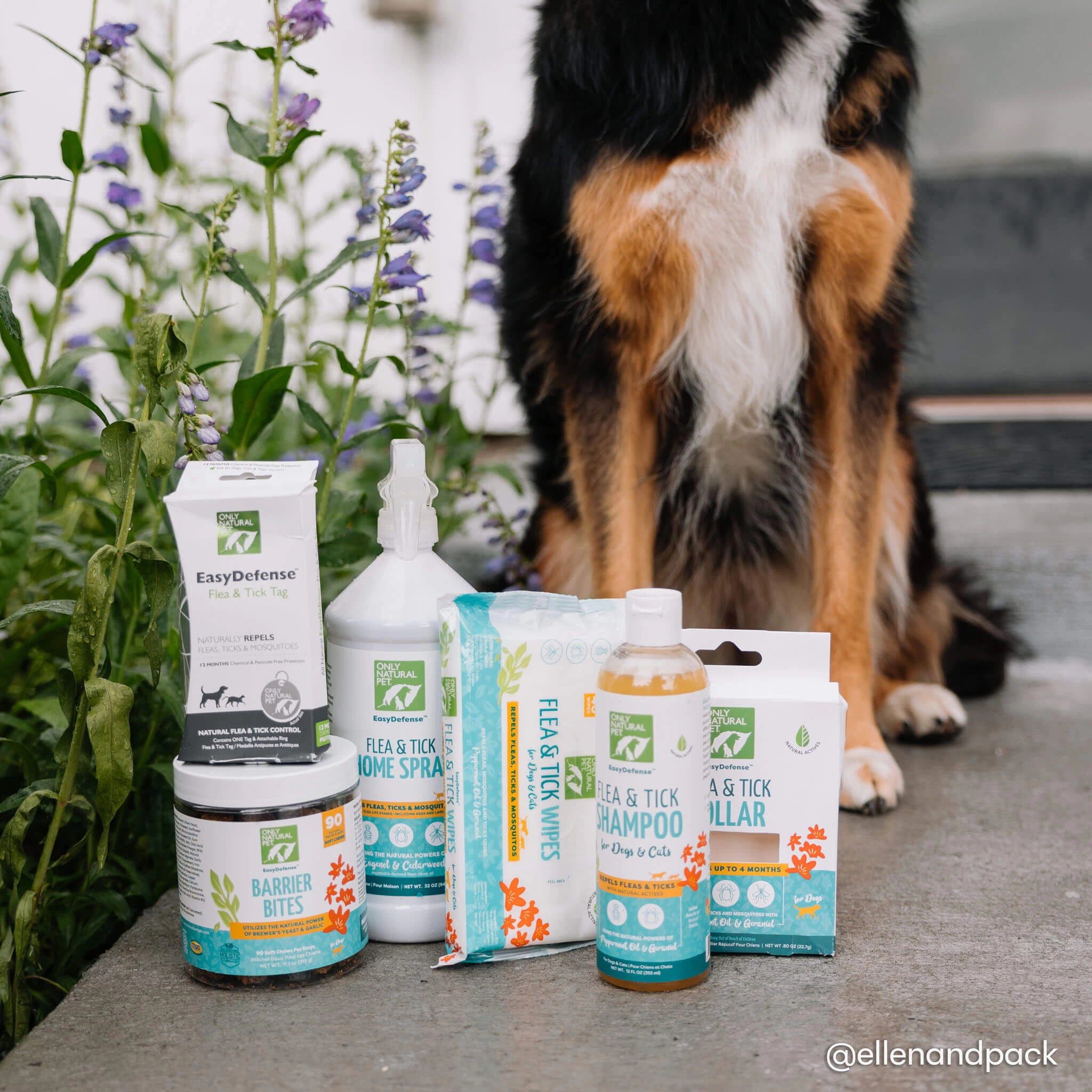 Only Natural Pet Flea & Tick Complete Protection Kit For Dogs 19 Only Natural Pet Flea & Tick Complete Protection Kit For Dogs - Image 17