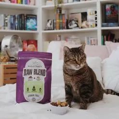 Stella & Chewy's Raw Blend Dry Cat Food -Pet Products 67765679 1404403316394709 4112544515737662852 n