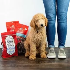 Stella & Chewy's Raw Coated Puppy Food -Pet Products 70519695 1347288558780846 6190012131137915521 n