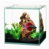 Aqueon AG00100 1G Frameless Cube Aquariums