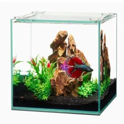 Aqueon AG00102 6G Frameless Cube Aquariums