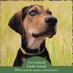 Earth Animal Nature's Protection Flea & Tick Herbal Bug Spray For Dogs -Pet Products EarthAnimalBugSprayInfographic3