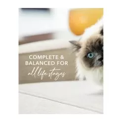 Feline Natural Grain-Free Canned Wet Cat Food -Pet Products FelineNaturalCannedWetCatFoodInfographic