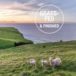 Feline Natural Grain-Free Canned Wet Cat Food -Pet Products FelineNaturalCannedWetCatFoodInfographic5