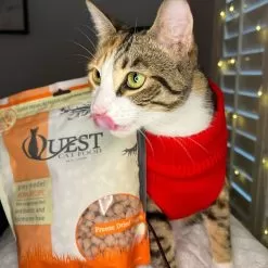 Steve's Real Food Cat Quest Freeze Dried -Pet Products Instagram Post Holiday Pet Theme Kellie Parenda