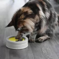 Beonebreed Cat Hammock Bed -Pet Products Intellikattlevel1 7c61bf9c 9287 4dee ab12 13e222b3bf47