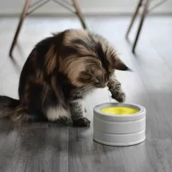 Beonebreed Cat Intellikatt Customizable Puzzle Feeder Bowl -Pet Products Intellikattlevel2