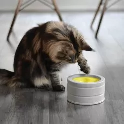 Beonebreed Cat Hammock Bed -Pet Products Intellikattlevel2 198a8a44 7677 40b2 9efa c401b1e18da9