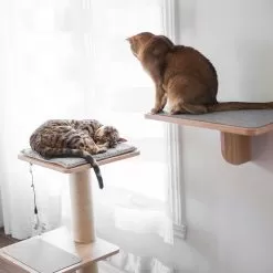 Beonebreed Cat Katt3 Evo Natural Cat Tree -Pet Products Katt3EVOshelf post