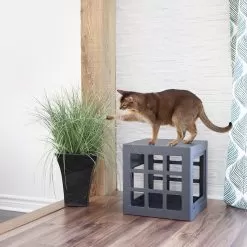 Beonebreed Cat Hammock Bed -Pet Products Katt3 lonely gray 6d872c9f 1949 417b b73b 7f188759b1e7