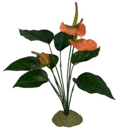 Multipet International 784369932010 Komodo Anthurium Bush With Gravel