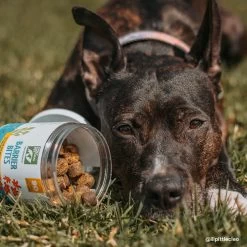 Only Natural Pet EasyDefense Barrier Bites Soft Flea Chews For Dogs 24 Only Natural Pet EasyDefense Barrier Bites Soft Flea Chews For Dogs -Pet Products ONPBarrierBitesLifestyle2 6c7732c9 ed05 43cd b02e 6b7194c12c88