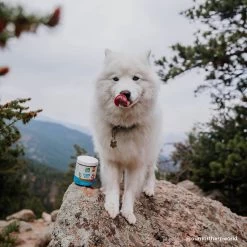 Only Natural Pet EasyDefense Barrier Bites Soft Flea Chews For Dogs 19 Only Natural Pet EasyDefense Barrier Bites Soft Flea Chews For Dogs -Pet Products ONPBarrierBitesLifestyle5