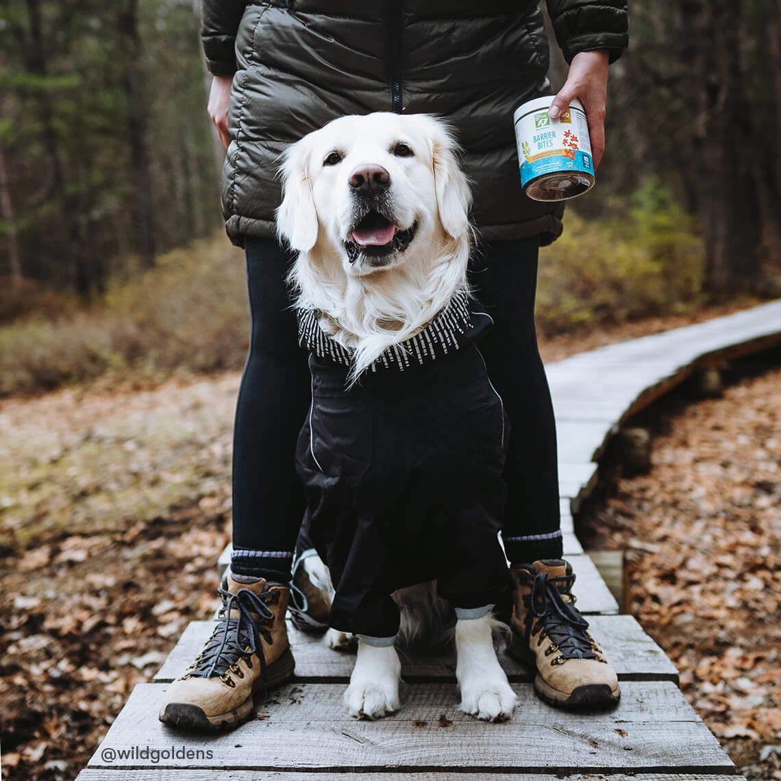 Only Natural Pet EasyDefense Barrier Bites Soft Flea Chews For Dogs 11 Only Natural Pet EasyDefense Barrier Bites Soft Flea Chews For Dogs - Image 9