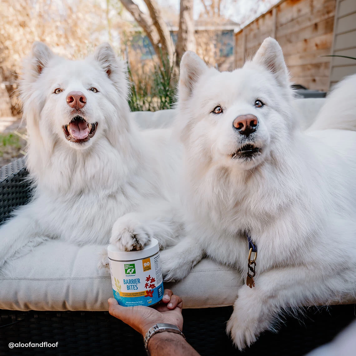 Only Natural Pet EasyDefense Barrier Bites Soft Flea Chews For Dogs 12 Only Natural Pet EasyDefense Barrier Bites Soft Flea Chews For Dogs - Image 10