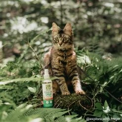 Only Natural Pet EasyDefense Flea & Tick Spray For Dogs & Cats 10 Only Natural Pet EasyDefense Flea & Tick Spray For Dogs & Cats -Pet Products ONPEasyDefenseFlea TickSprayforDogs CatsLifestyleImage