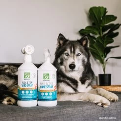 Only Natural Pet EasyDefense Flea & Tick Home Spray For Dogs & Cats -Pet Products ONPEasyDefenseFlea TickYardSpray HomeSprayLifestyle ce8d614d 16ee 4bda 8c5d 3df296f17280
