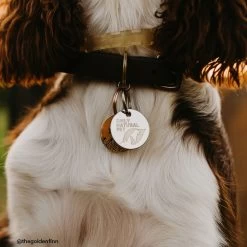 Only Natural Pet Easy Defense Flea & Tick Tag For Dogs & Cats 16 Only Natural Pet Easy Defense Flea & Tick Tag For Dogs & Cats -Pet Products ONPEasyDefenseFlea TickforDogs CatsLifestyle