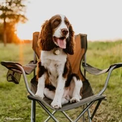 Only Natural Pet Easy Defense Flea & Tick Tag For Dogs & Cats 15 Only Natural Pet Easy Defense Flea & Tick Tag For Dogs & Cats -Pet Products ONPEasyDefenseFlea TickforDogs CatsLifestyle2