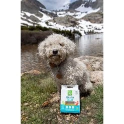 Only Natural Pet EasyDefense Flea & Tick Dog Collar Multi Pack -Pet Products ONPEasyDefenseNon ToxicFlea TickCollarforDogsLifestyle2