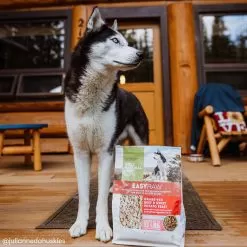 Only Natural Pet EasyRaw Grass-Fed Beef & Sweet Potato Feast Dehydrated Dog Food -Pet Products ONPEasyRawGrassFedBeefandSweetPotatoFeastLifestyle