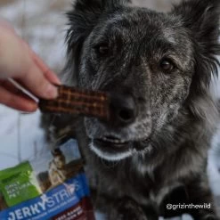 Only Natural Pet Jerky Strips Dog Treats -Pet Products ONPJerkyStripsLifestyle