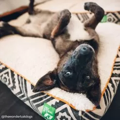 Only Natural Pet Organic Sherpa Pet Beds -Pet Products ONPOrganicSherpaPetBedLifestyleImage2