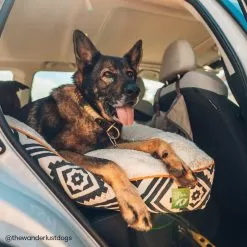 Only Natural Pet Organic Sherpa Pet Beds -Pet Products ONPOrganicSherpaPetBedLifestyleImage4