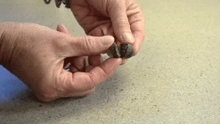 Only Natural Pet EasyDefense Barrier Bites Soft Flea Chews For Dogs 21 Only Natural Pet EasyDefense Barrier Bites Soft Flea Chews For Dogs -Pet Products OnlyNaturalPetEasyDefenseBarrierBitesSoftFleaChewsforDogs Cats low