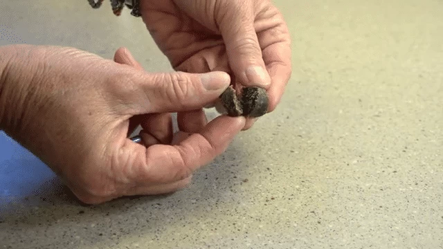 Only Natural Pet EasyDefense Barrier Bites Soft Flea Chews For Dogs 10 Only Natural Pet EasyDefense Barrier Bites Soft Flea Chews For Dogs - Image 8