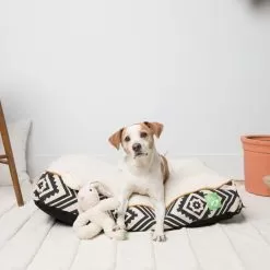 Only Natural Pet Organic Sherpa Pet Beds -Pet Products OnlyNaturalPetSherpaBedLifestyleImage