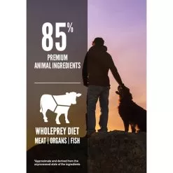 Orijen Grain-Free Dry Dog Food -Pet Products OrijenGrainFreeDryDogFoodRegionalRedInfographic