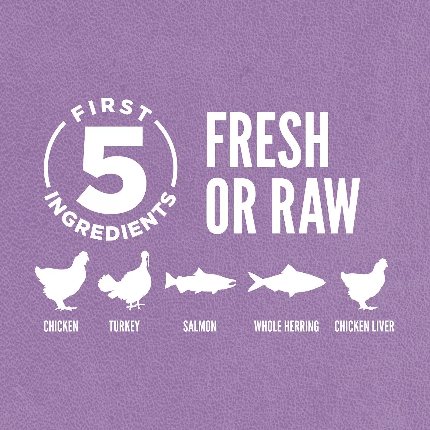 Orijen Whole Prey Chicken, Turkey, Salmon & Herring Kitten Food 5 Orijen Whole Prey Chicken, Turkey, Salmon & Herring Kitten Food - Image 3