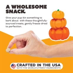 Primal Pet Foods Freeze-Dried Dog Treats -Pet Products PrimalPetFoodsFreeze DriedDogTreatsPumpkinformyPumpkinNewLifestyle