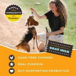 Primal Pet Foods Freeze-Dried Dog Treats -Pet Products PrimalPetFoodsFreeze DriedDogTreatsPumpkinformyPumpkinNewRTB2
