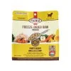 Primal Pet Foods Pronto Freeze-Dried Raw Puppy Food -Pet Products PrimalPetFoodsProntoFreezeDriedRawPuppyFood7oz