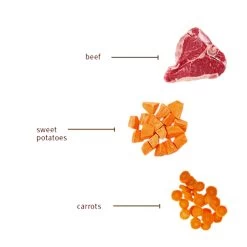 Sojos Complete Grain-Free Dog Food Mix -Pet Products SojosCompleteGrainFreeDogFoodMixBeefInfographic3