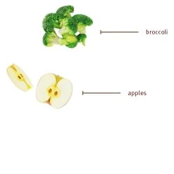 Sojos Complete Grain-Free Dog Food Mix -Pet Products SojosCompleteGrainFreeDogFoodMixTurkeyInfographic