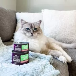 Stella & Chewy's Carnivore Cravings Minced Morsels Chicken & Duck Wet Cat Food 11 Stella & Chewy's Carnivore Cravings Minced Morsels Chicken & Duck Wet Cat Food -Pet Products Stella Chewy sCarnCravMincMorsChicken DuckLifestyle