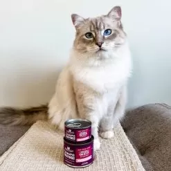 Stella & Chewy's Carnivore Cravings Minced Morsels Chicken & Tuna Wet Cat Food -Pet Products Stella Chewy sCarnCravMincMorsChicken TunaLifestyle