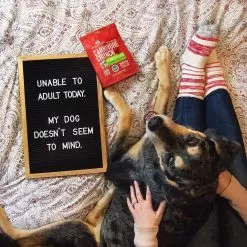 Stella & Chewy's Carnivore Crunch Training Treats 29 Stella & Chewy's Carnivore Crunch Training Treats -Pet Products Stella Chewy sCarnivoreCrunchTrainingTreatsDuckLifestyleImage 1