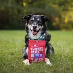 Stella & Chewy's Carnivore Crunch Training Treats 20 Stella & Chewy's Carnivore Crunch Training Treats -Pet Products Stella Chewy sCarnivoreCrunchTrainingTreatsTurkeyLifestyleImage 1