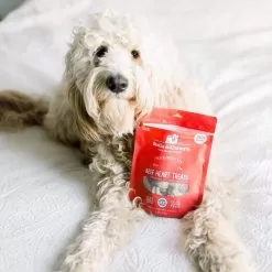 Stella & Chewy's Freeze-Dried Raw Single Ingredient Treats 39 Stella & Chewy's Freeze-Dried Raw Single Ingredient Treats -Pet Products Stella Chewy sFreeze DriedRawSingleIngredientTreatsBeefHeartLifestyleImage