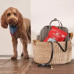 Stella & Chewy's Freeze-Dried Raw Single Ingredient Treats 34 Stella & Chewy's Freeze-Dried Raw Single Ingredient Treats -Pet Products Stella Chewy sFreeze DriedRawSingleIngredientTreatsLambLiverLifestyleImage