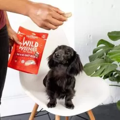 Stella & Chewy's Wild Weenies Raw Freeze-Dried Dog Treats -Pet Products Stella Chewy sWildWeeniesRawFreeze DriedDogTreatsBac nMeCrazyLifestyleImage 1 41c54815 0260 4467 8465 e76ea0e087d2