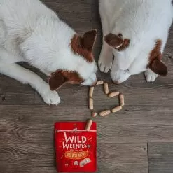Stella & Chewy's Wild Weenies Raw Freeze-Dried Dog Treats -Pet Products Stella Chewy sWildWeeniesRawFreeze DriedDogTreatsBeefRecipeLifestyleImage 238c0278 15af 42b3 b9fd 7b9da8cb2a91