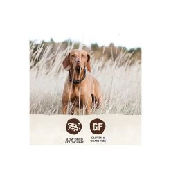 Wellness Core Grain Free Air-Dried Dog Food -Pet Products Wellness TenderBites ChickTurkey Infographic2