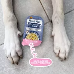 Weruva Meals 'n More Digestion Support Wet Dog Food -Pet Products WeruvaMeals nMoreDigestionSupportWetDogFoodBed BreakfastLifestyle