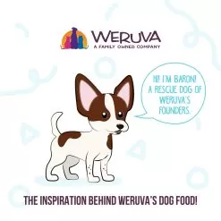 Weruva Meals 'n More Digestion Support Wet Dog Food -Pet Products WeruvaMeals nMoreSkin CoatWetDogFoodInfographic2