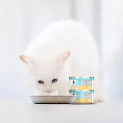 Weruva Wx Low Phosphorus Cat Food -Pet Products WeruvaWxLowPhosphorusCatFoodChickeninGravyLifestyle